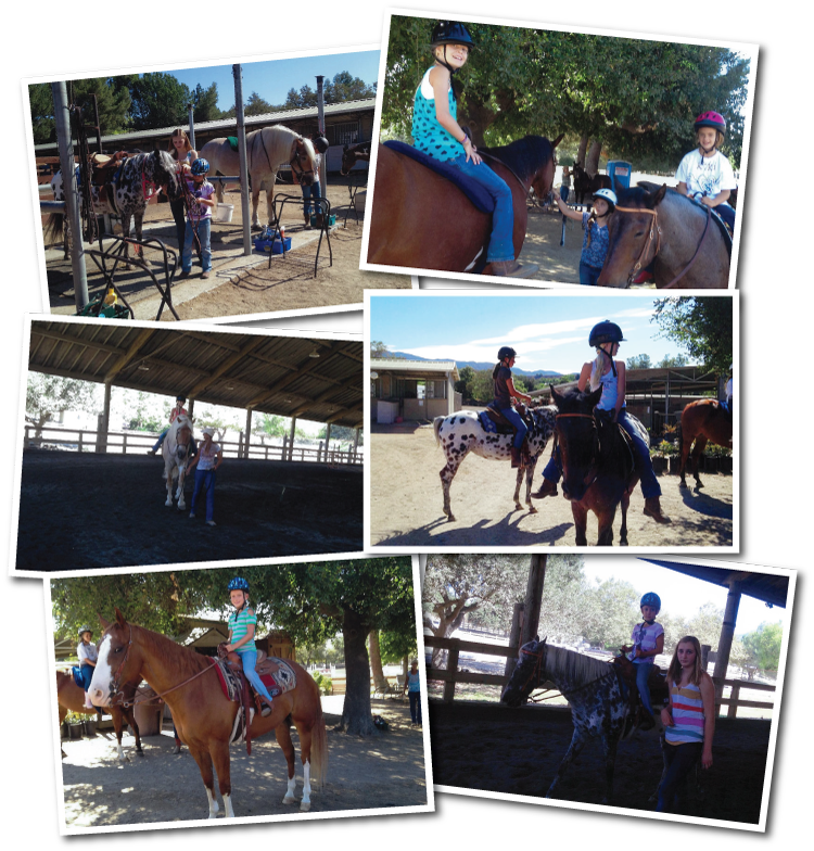 Horse Training in Coto de Caza