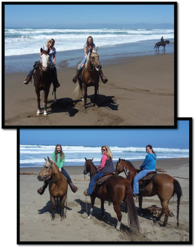 Horse training on the beach